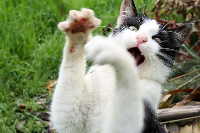 虚拟现实技术助力足球战术分析,培训效果显著提升,足球虚拟队什么意思