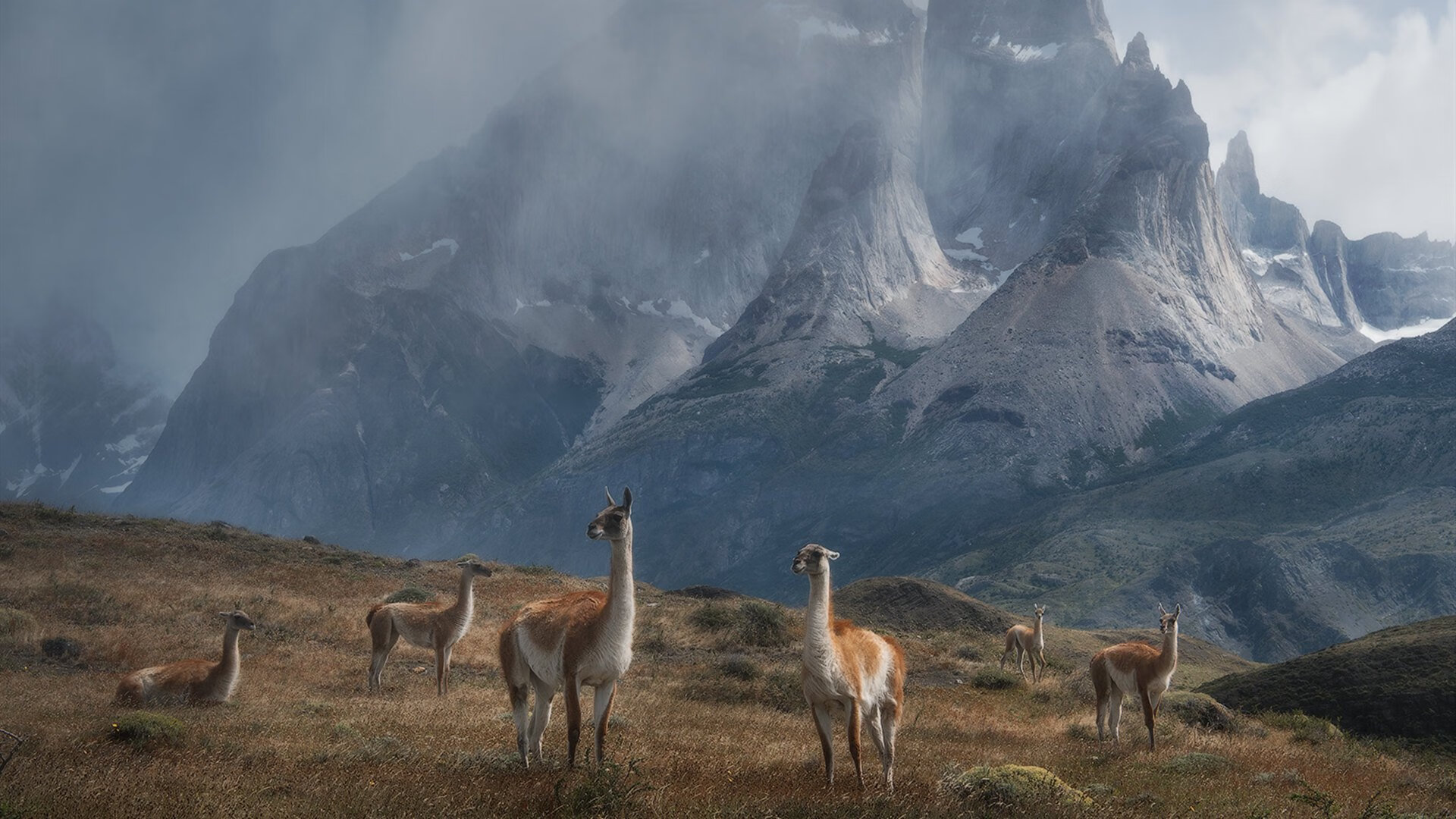 足球联赛射手榜排名发生巨大变化，足球比赛射手榜